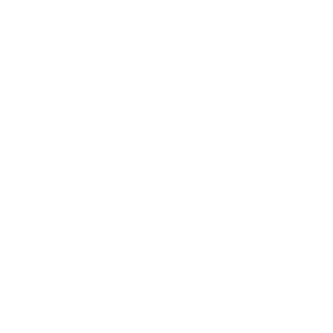 logo DAM Academy